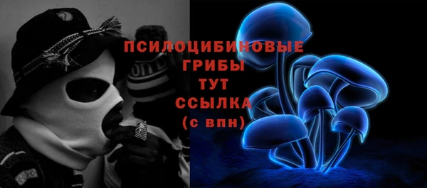 гашик Краснотурьинск
