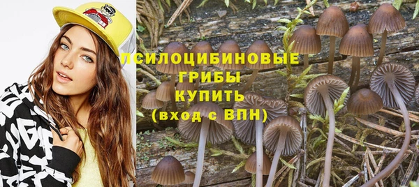 прущий лед Майский