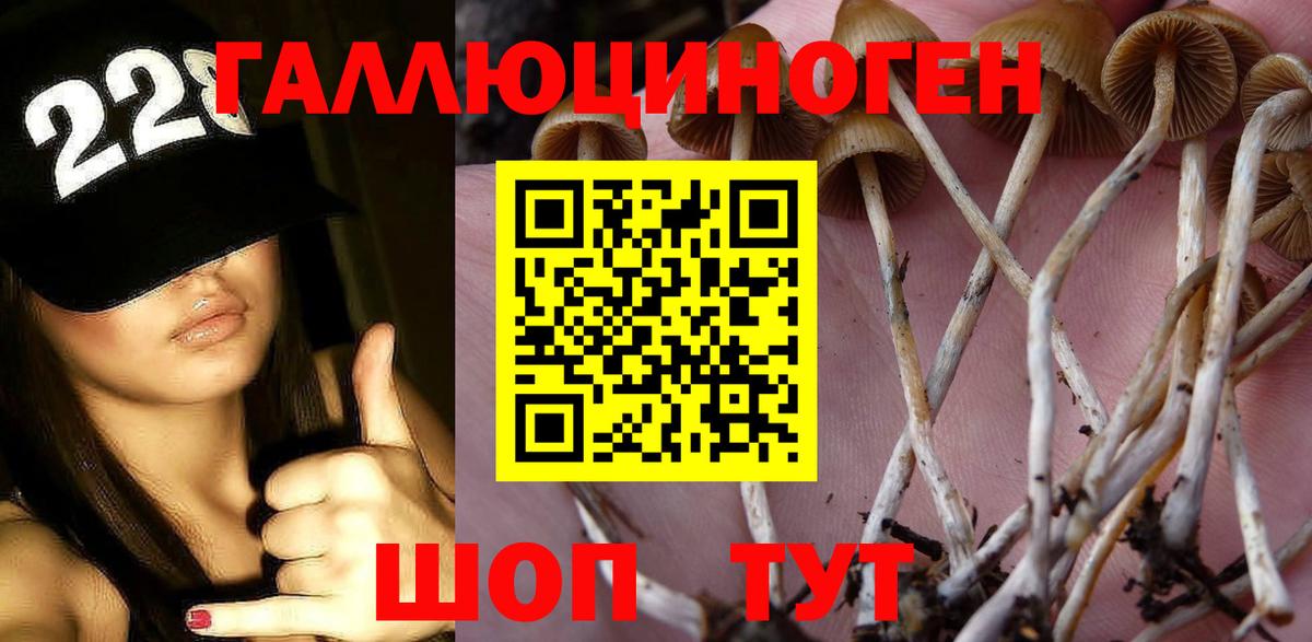 Коммунар  Галлюциногенные грибы Psilocybe  Вход с VPN 